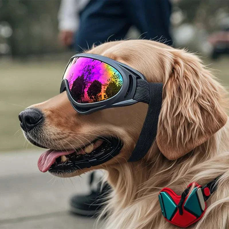 Verstellbare Hundebrille