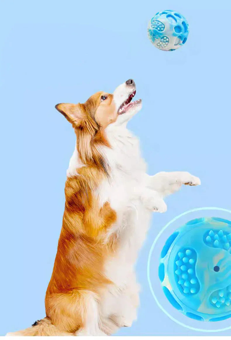 Haustierspielzeug für Hunde