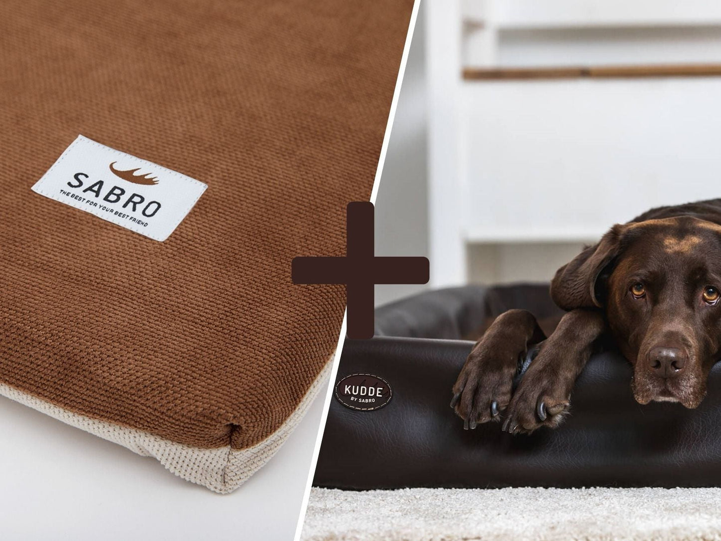 Orthopädisch-Plus Bundle | KUDDE Hundebett + Mumin Einlage Alltid