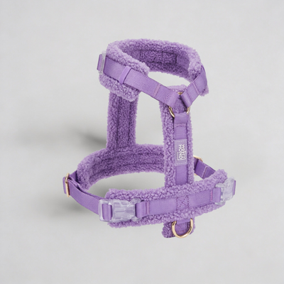 Hundegeschirr-Set Teddy Violett