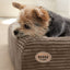 Hundebett KUDDE Cord