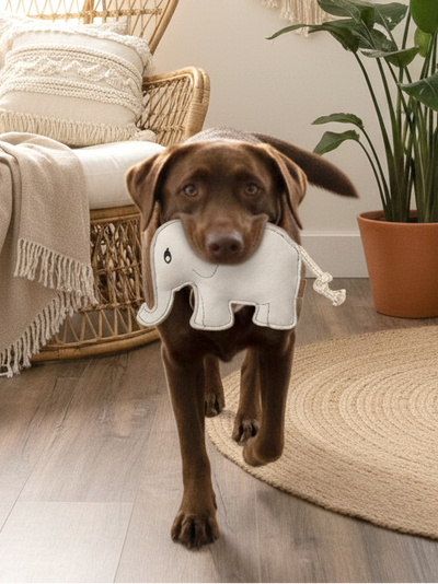 BUDDY. Hundespielzeug aus Leder "Elefant"