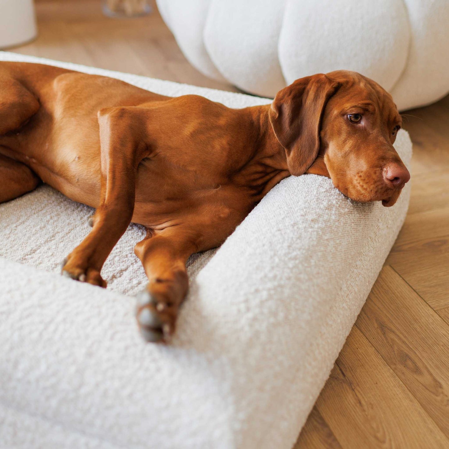 Hundebett Barklay Größe L mit Bouclébezug