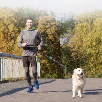 Running-Leine. Hands-free mit Bungee