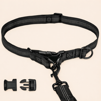 Running-Leine. Hands-free mit Bungee