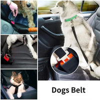 Auto-Anschnallgurt. Hund sicher im Auto