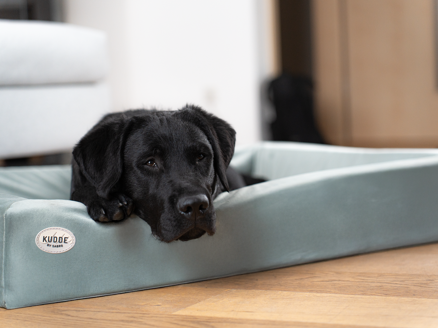 Hundebett KUDDE Samt