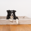 Hundebett KUDDE Samt
