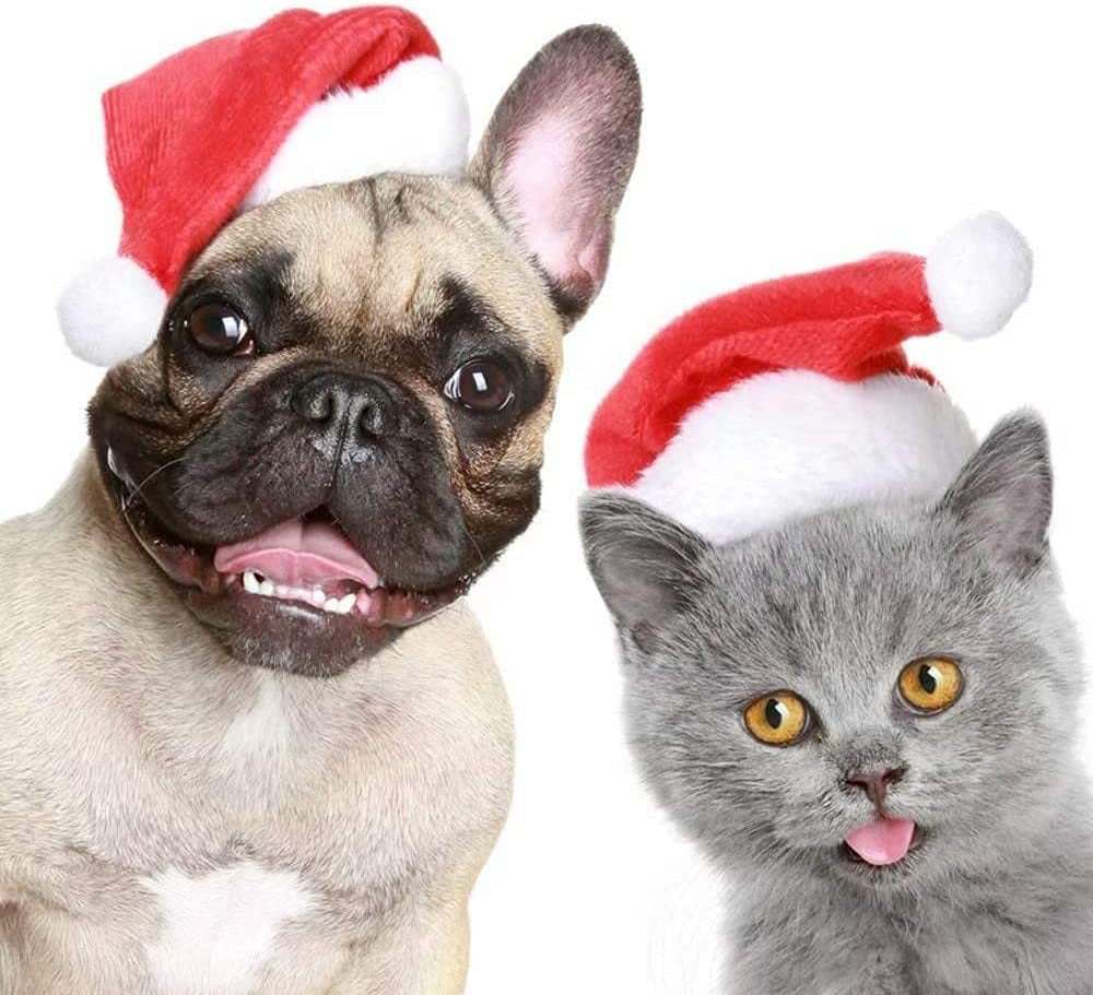 Weihnachtsmütze rot-weiß für Hunde und Katzen mit Plüsch und leuchtendem Element