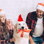 Weihnachtsmütze für Hund mit rotem Santa-Hut und Geschenkband im Maul, festliche Stimmung mit Menschen