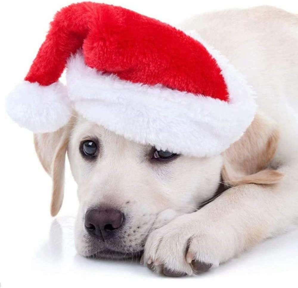 Weihnachtsmütze für Hunde und Katzen aus rotem Plüsch mit weißem Bommel, weiches Material, festlicher Weihnachtslook
