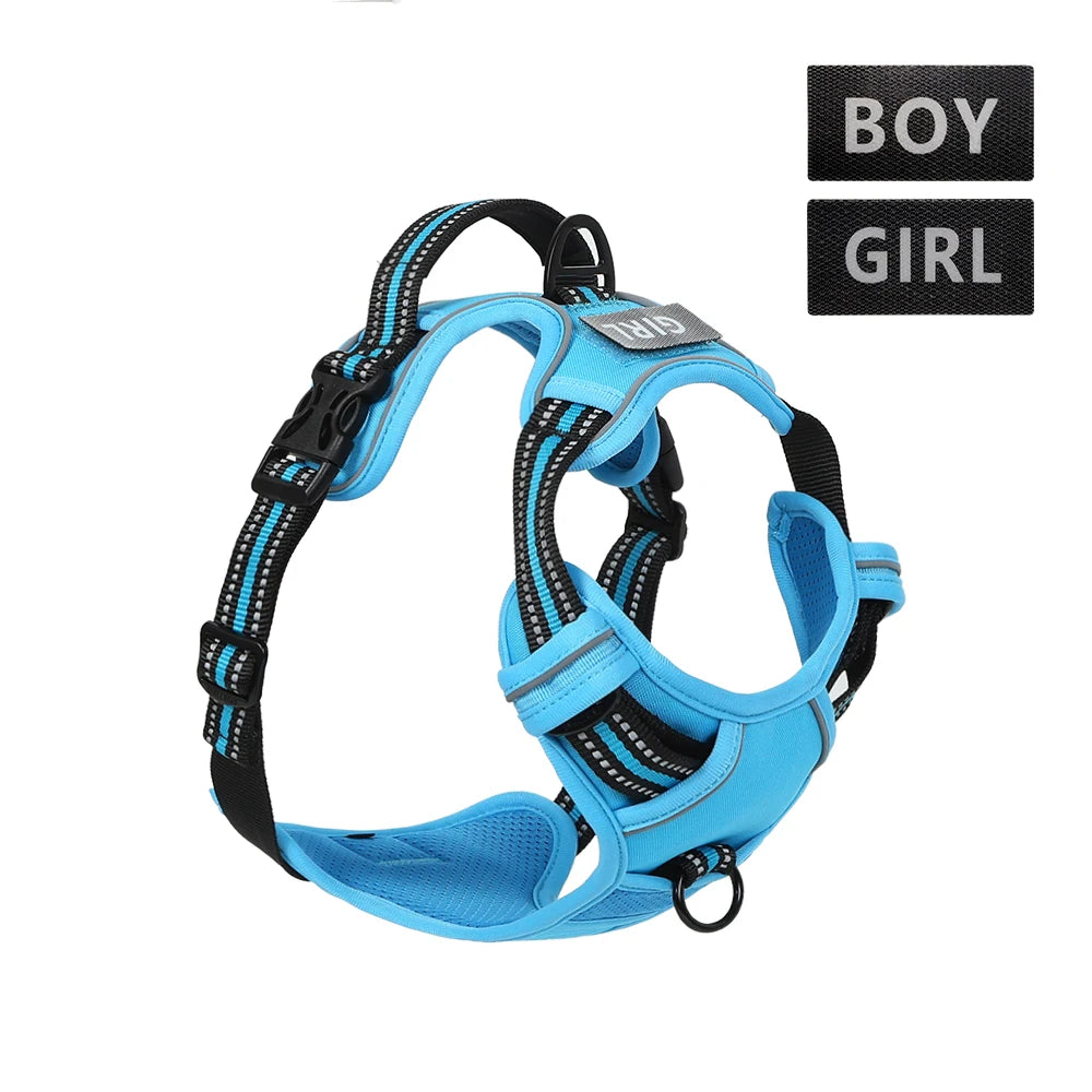 Sicheres Quick‑Release Hundehalsband – Robust, leicht & alltagstauglich