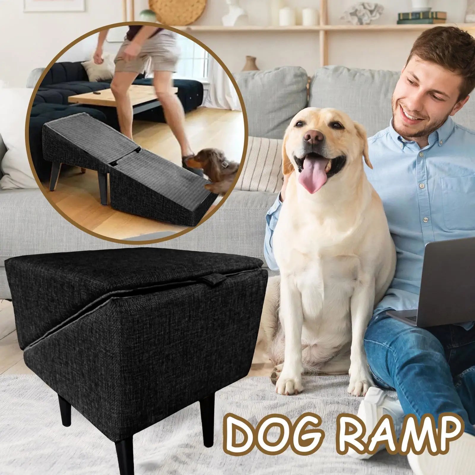 Faltbare Hunderampe – Rutschfest, stabil & multifunktional