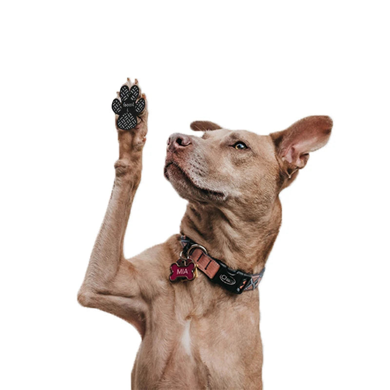 Anti‑Rutsch Pfotengriffe für Hunde – 4‑er Pack | Schutz & Traktion