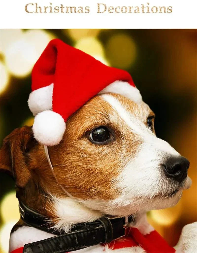 Kleiner Hund mit rotem Weihnachts-Santa-Hut für Haustiere, festliches Weihnachtsaccessoire