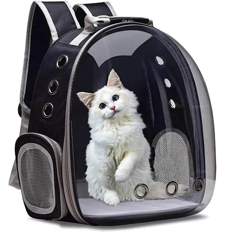 Black cat pet carrier backpack with transparent bubble capsule and ventilation holes for small pets