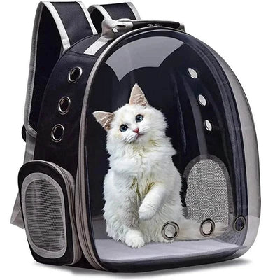 Black cat pet carrier backpack with transparent bubble capsule and ventilation holes for small pets
