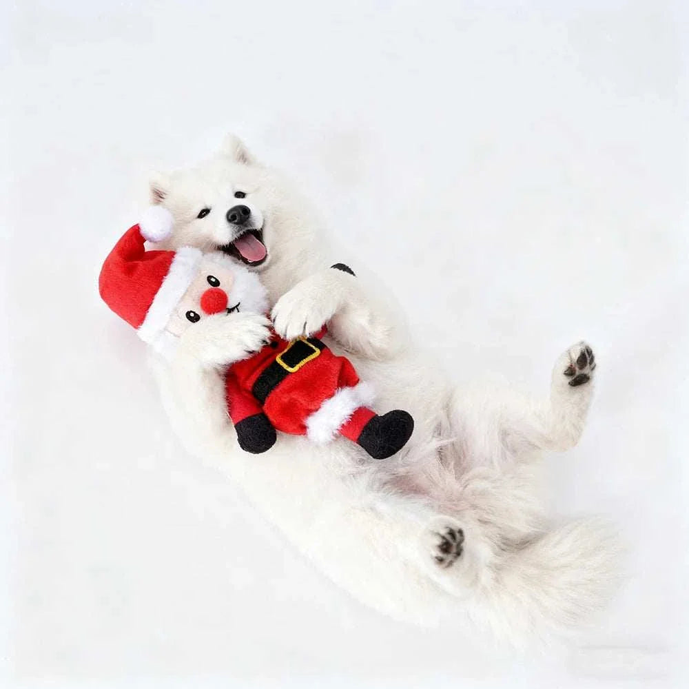 Weihnachts-Kauspielzeug für Hunde, weißer Hund mit rotem Plüsch-Weihnachtsmann-Spielzeug, quietschend und weich, für kleine und mittelgroße Hunde