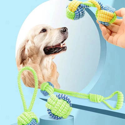 Interaktives Hundespielzeug