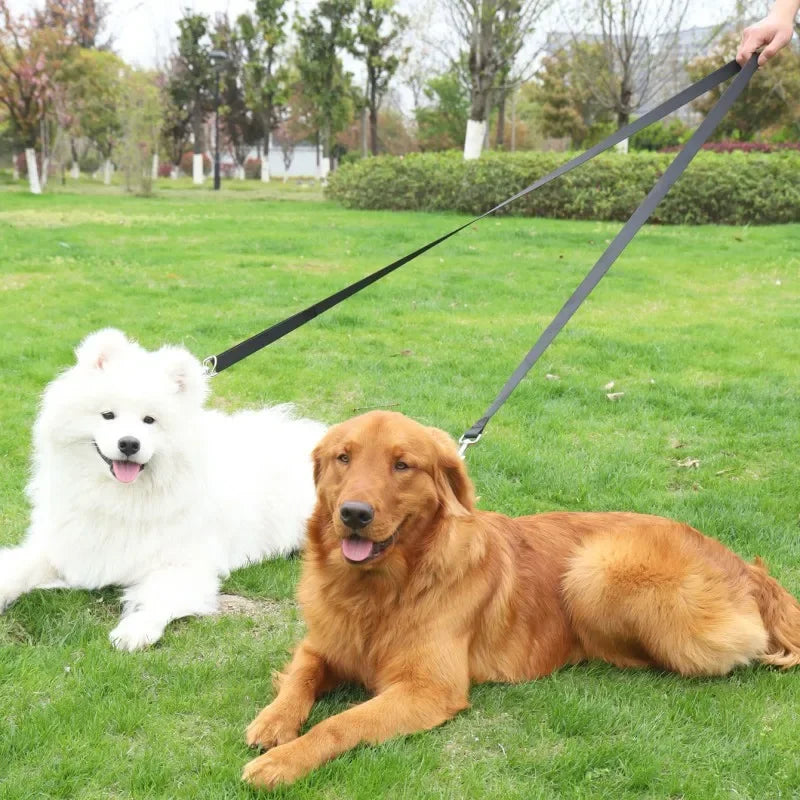 Doppelseitig, verstellbar & ideal für Training & Kontrolle (2,5 m)