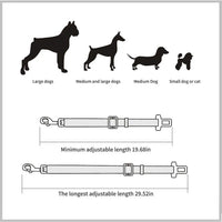 Auto-Anschnallgurt. Hund sicher im Auto