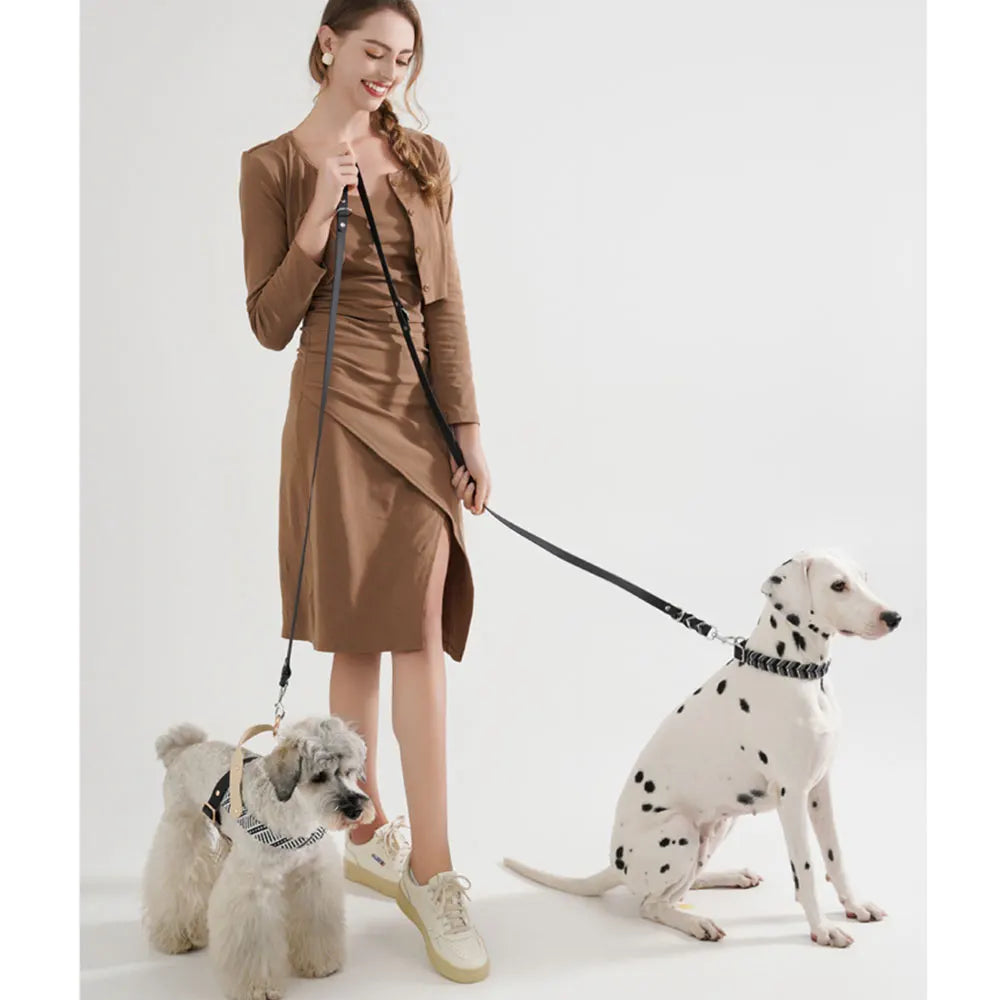 Robuste Hundeleine aus geflochtenem Seil – Handgefertigt, langlebig & ideal für mittelgroße & große Hunde