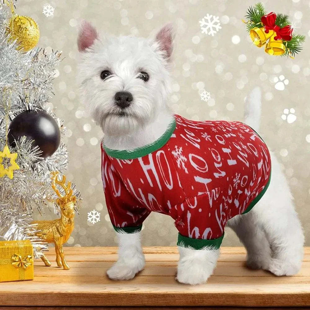 kleiner weißer hund im roten weihnachts-shirt mit ho-ho-ho muster und grünen abschlüssen vor weihnachtlicher dekoration, festliches pet dog christmas shirt für kleine hunde und katzen