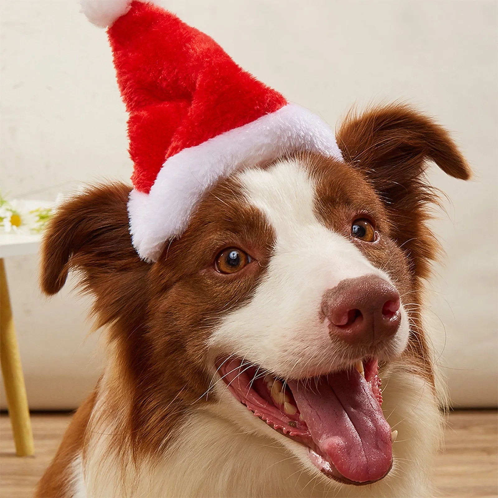 Hund trägt rote Weihnachtsmütze für Haustiere aus Plüsch, weihnachtliche Haustierkostüm-Dekoration