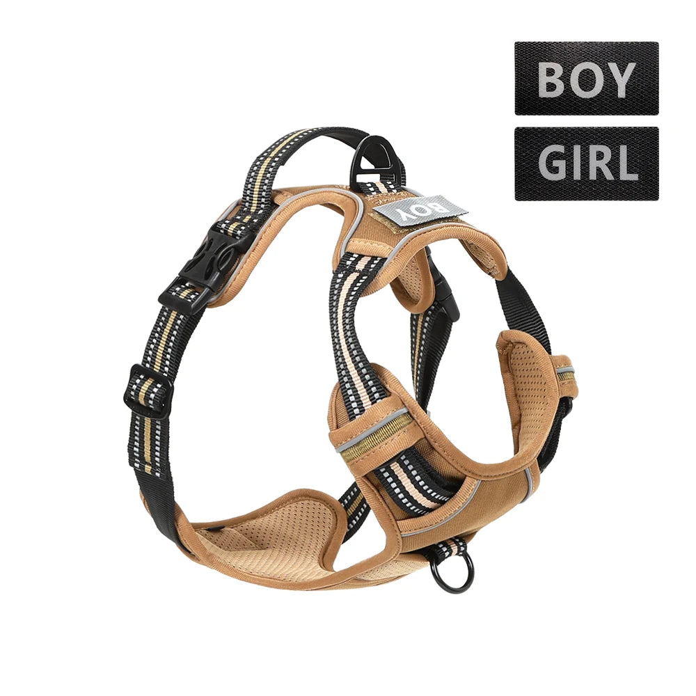 Sicheres Quick‑Release Hundehalsband – Robust, leicht & alltagstauglich