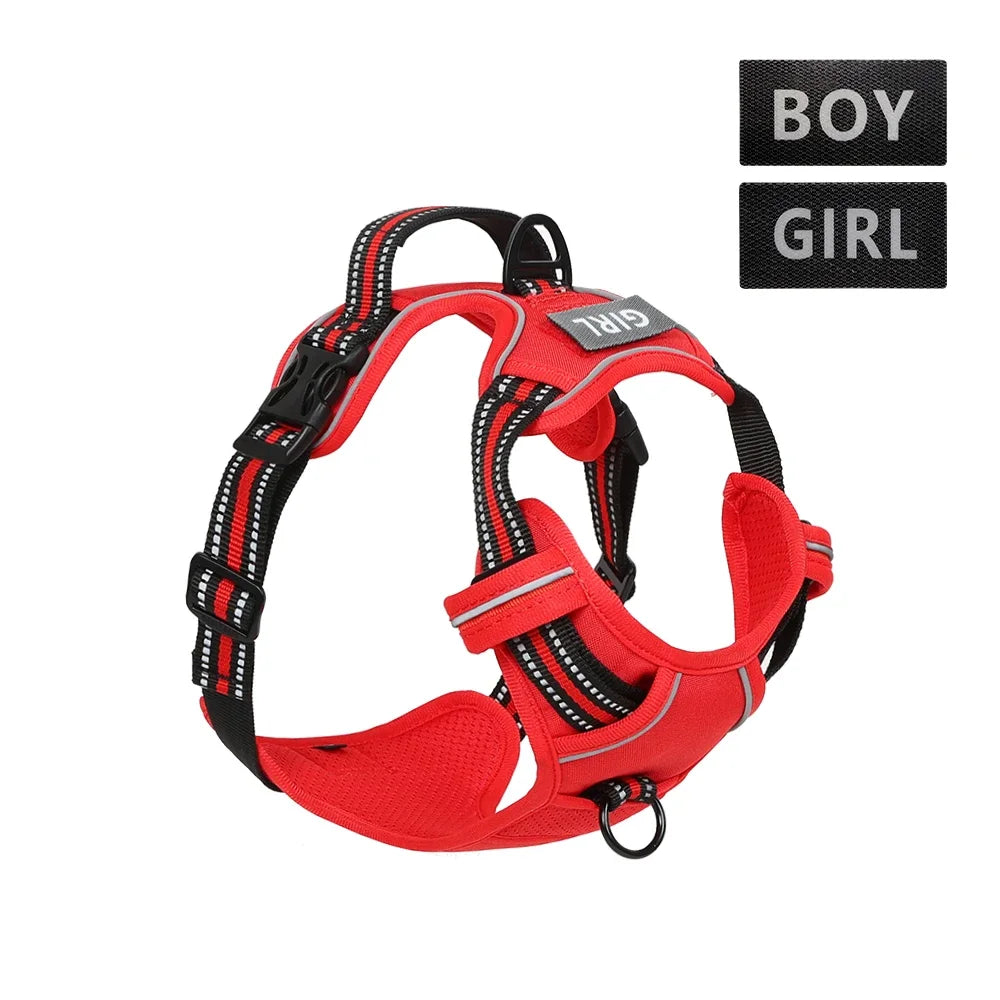 Sicheres Quick‑Release Hundehalsband – Robust, leicht & alltagstauglich