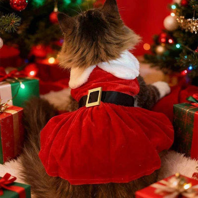 Festliches Haustierkleid – Weihnachts-Prinzessinnenrock für Hunde & Katzen - Pawlino