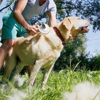 Selbstreinigende Pflegebürste. Für Hund & Katze