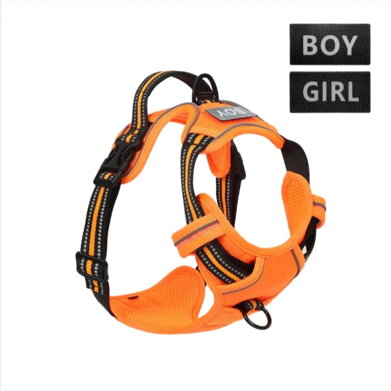 Sicheres Quick‑Release Hundehalsband – Robust, leicht & alltagstauglich