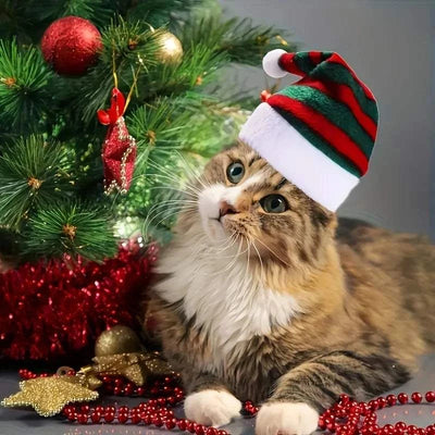 Cat wearing multicolor Christmas hat near decorated Christmas tree with ornaments and garlands