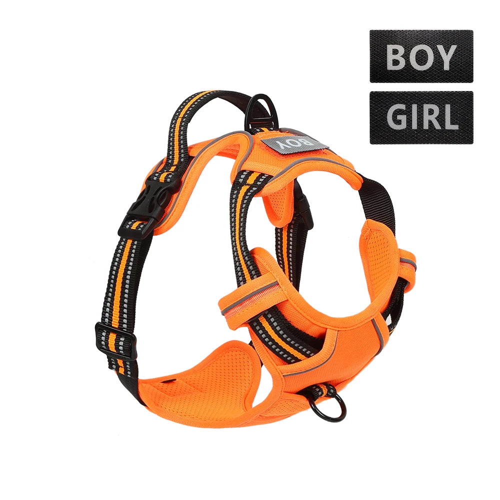 Sicheres Quick‑Release Hundehalsband – Robust, leicht & alltagstauglich