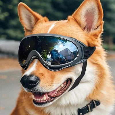 Verstellbare Hundebrille