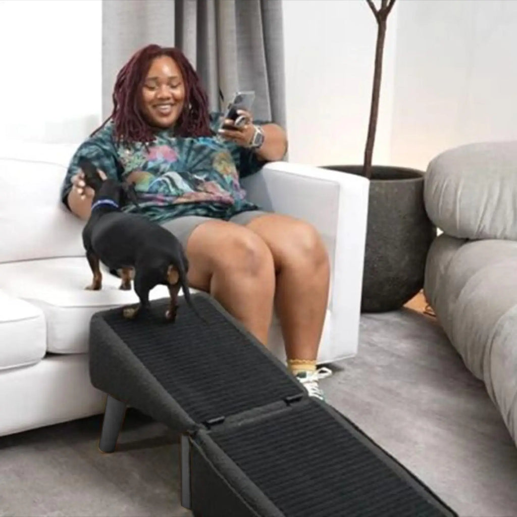 Faltbare Hunderampe – Rutschfest, stabil & multifunktional