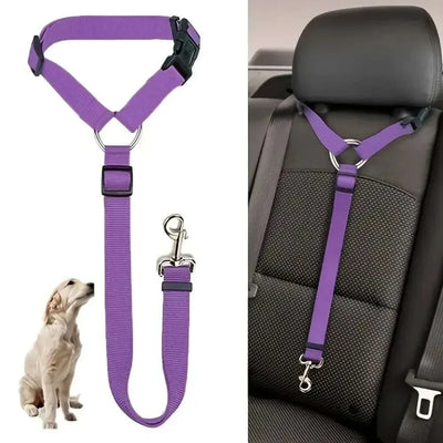 Sicherheitsgurt für Hunde