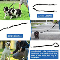 Twin-Leash. Für zwei Hunde