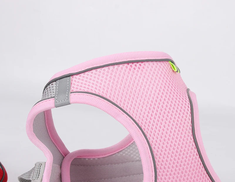 Hundegeschirr-Set mit Leine für kleine Hunde