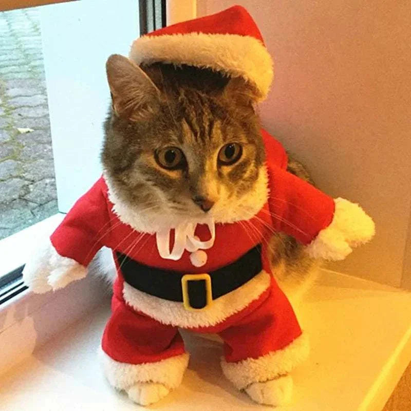 Katzen-Weihnachtskostüm im Santa-Design aus weichem Fleece für kleine bis mittelgroße Haustiere