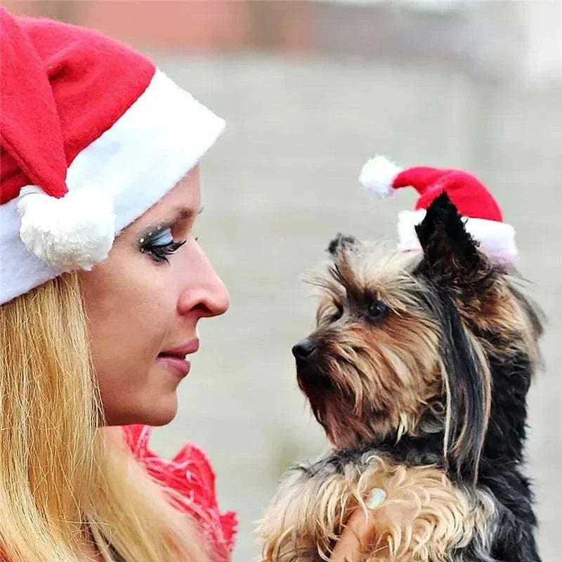 Frau und Hund mit roter Weihnachtsmütze Weihnachtsmütze für Haustiere Christmas Pet Hat