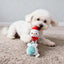 White fluffy dog playing with Christmas Puppy Dog Plush snowman chew toy indoors on carpet