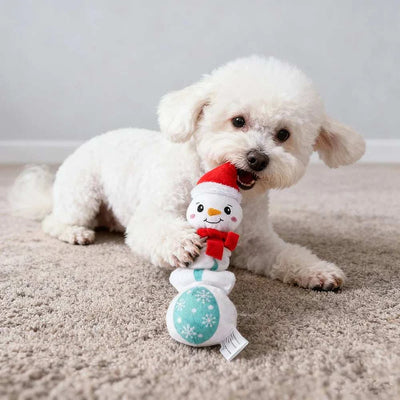 White fluffy dog playing with Christmas Puppy Dog Plush snowman chew toy indoors on carpet