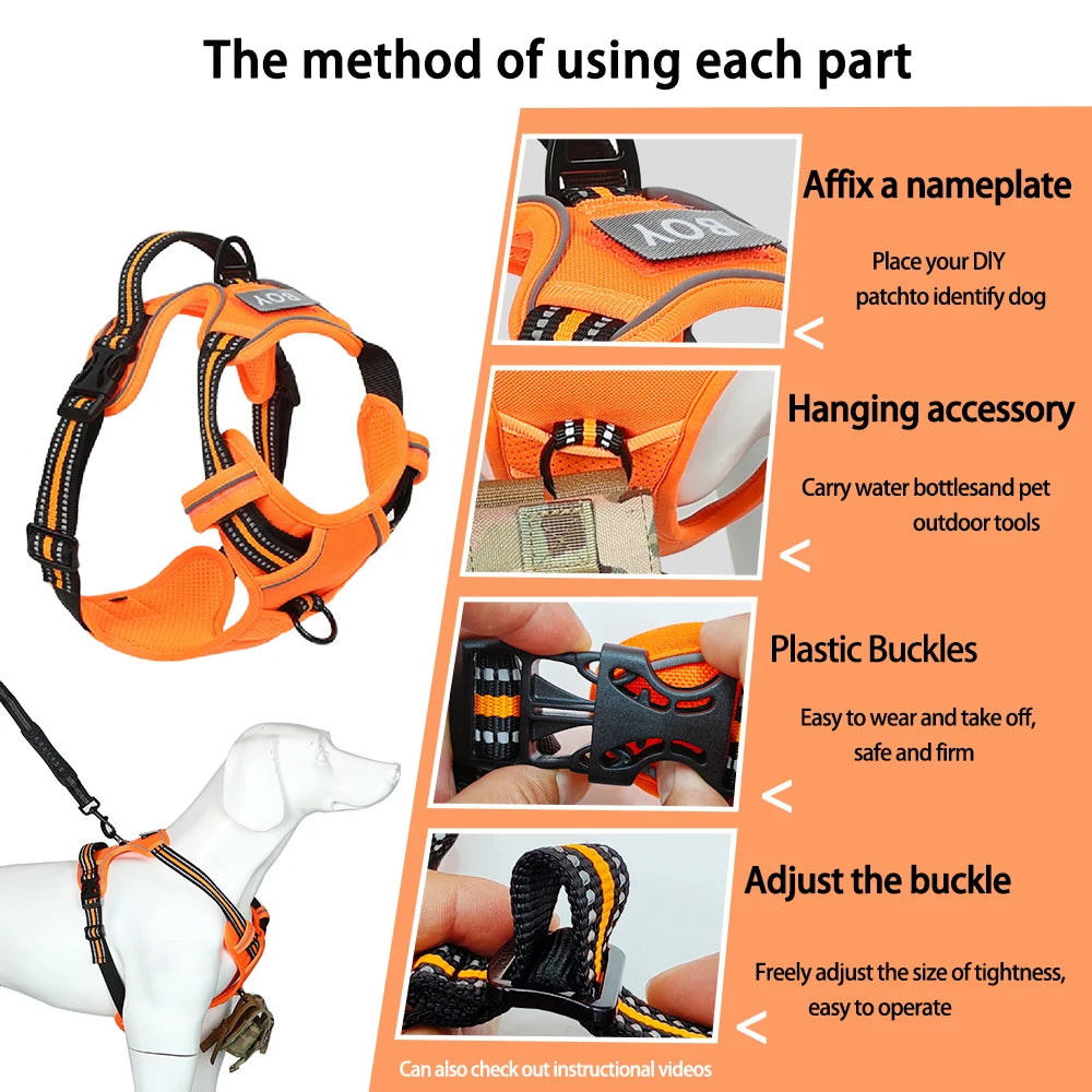 Sicheres Quick‑Release Hundehalsband – Robust, leicht & alltagstauglich