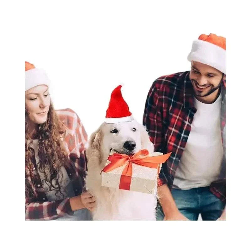 Weihnachtsmütze für Haustiere, roter Santa-Hut für Hunde, festliches Tieraccessoire für Weihnachten