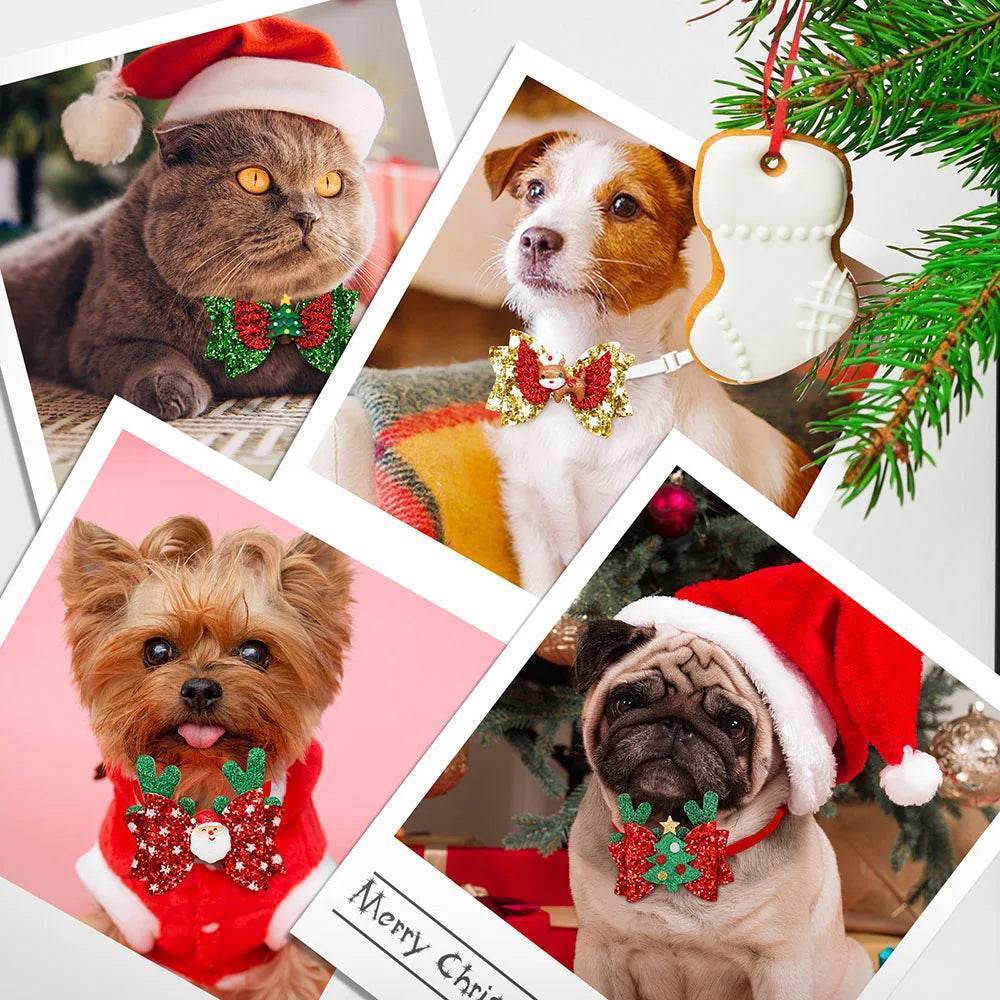 20er-Set Weihnachtsfliegen für Hunde & Katzen – Glänzend, festlich & vielseitig - Pawlino