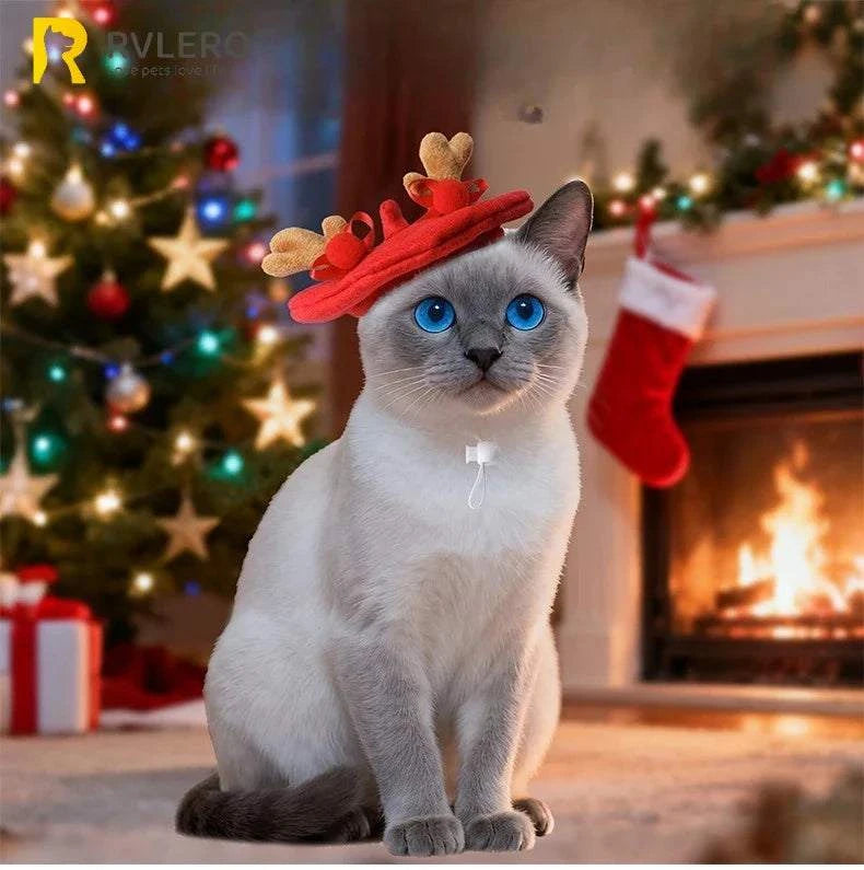 Cat wearing red Christmas pet hat with reindeer antlers by fireplace and Christmas tree background