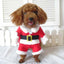 Kleiner Hund in rotem, flauschigem Weihnachtskostüm mit Santa-Design für kleine bis mittelgroße Haustiere
