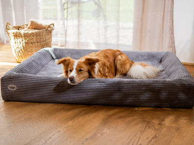 Hundebett KUDDE Cord